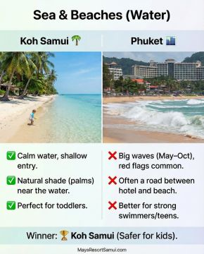 ค้นพบว่าทำไมน้ำทะเลที่สงบและตื้นของเกาะสมุยและร่มเงาปาล์มธรรมชาติจึงทำให้ที่นี่เป็นจุดหมายปลายทางชายหาดที่สมบูรณ์แบบและปลอดภัยกว่าสำหรับครอบครัวที่มีเด็กเล็ก เมื่อเทียบกับคลื่นที่ใหญ่กว่าของภูเก็ต