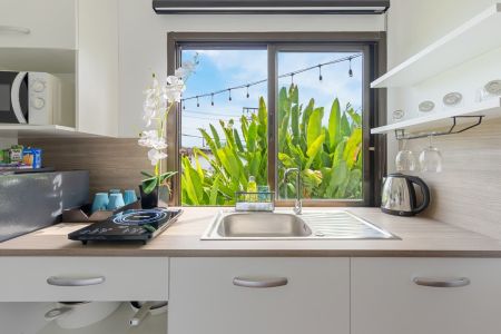 Garden Villa kitchenette with sink, induction hob and a window looking onto tropical plants.